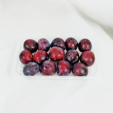 경남 프리미엄자두 나디아체리자두 2kg, 1box, 소과