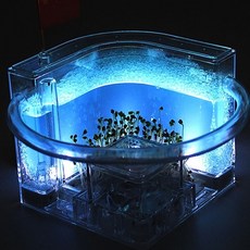 앤트빌(신나는개미탐험)