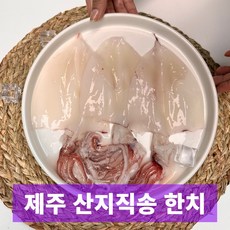 일등농수산 산지직송 싱싱한 제주 손질 한치, 1개, 손질 한치 1팩 500g