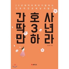 국제간호사길라잡이