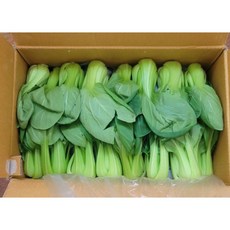 국내산 청경채 4kg 야채 청경채국산 채소 청경체채소 청경체 마라탕 샤브샤브 샤브샤브용채소 샤브용채소 청경채샤브 국내산청경채 탕찌개 탕 찌개 찌개용 국물요리 제철채소 신선야채, 1개