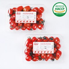 스위프리샤인마토