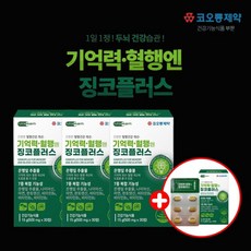 갱년기치료치매예방