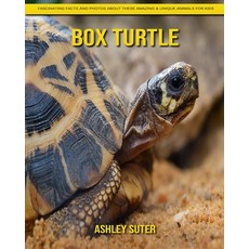 Box Turtle: Fascinating Facts and Photos about These Amazing & Unique Animals for Kids Paperback, Independently Published