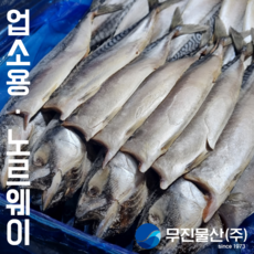 무진물산 노르웨이 자반 간고등어 업소용 대용량 벌크, 20개, 550g 중