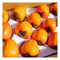 대봉감 10kg(51-60과) 이베따, 1개, 상세 설명 참조