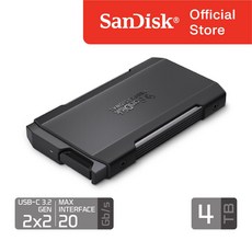 샌디스크 프로페셔널 정품 프로 블레이드 트랜스포트 4 TB 테라 SDPM2NB