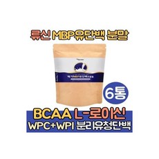 류신 MBP 유단백추출물 뼈엔 분말 단백질 6통 루신 엠비피 BCAA L로이신 보충제 분리유청단백 농축유청단백