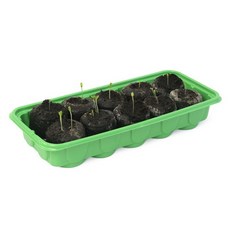 플라팜쿠션체어