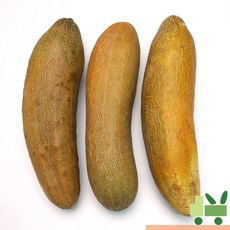 사라상회 노각 (늙은오이) 2Kg (상)