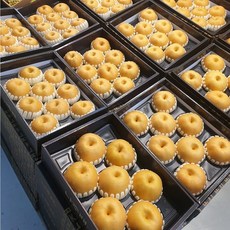 고급포장 최상품 나주배 8kg 특대과 8-10수, 특상품 8kg(특대8-10수), 1개