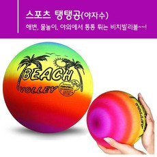 야자수비치볼