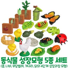 캐스비도형학교