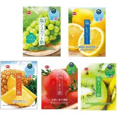 일본 카토 제과 소금 사탕 캔디 5가지맛 58g 5팩 포도 레몬 파인애플 토마토 키위 514060