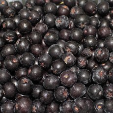 청정지역 제주 당일수확 산지직송 19년 아로니아 생과 5kg, 1개