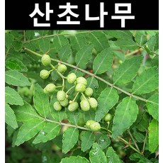 7f42b0a653a3b1f32e822d554ea6a9c49ce2a8be51a3b584abaae978c0e8.jpg