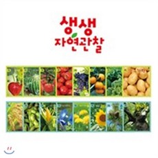 블루래빗책세트