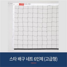 동양배구네트배구한국산공인규격9인제