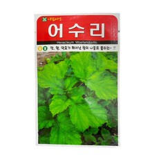 어수리잎생것영양성분