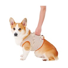 페티오 강아지 노령견 보행보조 시니어견 슬개골 베스트 ZUTTONE 조끼 PETIO JP, 베이지, 1개
