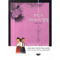 소설가구보씨의일일