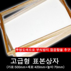 고급 오동나무 표본상자, 곤충표본상자, 1개, 고급곤충표본상자