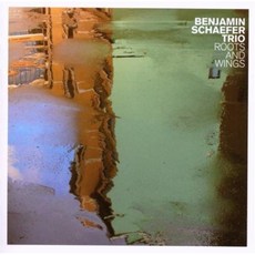 셰퍼클린스팀다리미