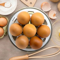에브리빙 2단 계란찜기 EHHL-EG4538H 멀티쿠커 스티머, 1개