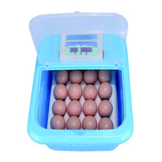 (국내배송) 아보카도 계란 병아리 자동 부화기 18구+ 한글설명서