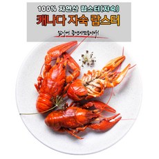 대형 바닷가재 A등급 캐나다산 자숙 랍스타 450g 바다가제 냉동포장