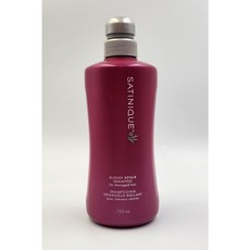 암웨이 새티니크 글로시 리페어 샴푸 750ml, 1개
