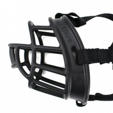 보더콜리입마개