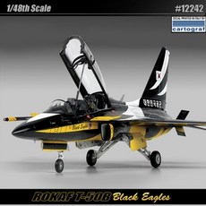 블랙이글스뱃지