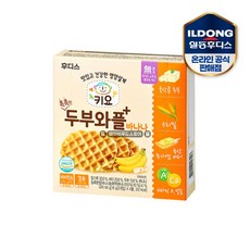 후디스니플