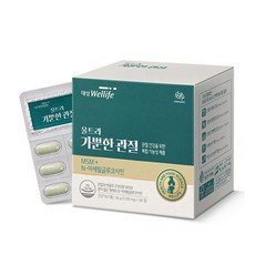 대상웰라이프 울트라 가뿐한 관절(1 100mgx60정), 60정, 1개