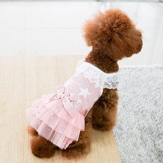 리얼펫강아지