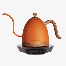 브뤼스타전기포트