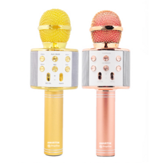 마이크하드케이스