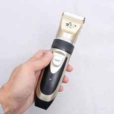 사바이풋
