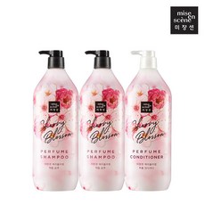 미쟝센체리블라썸