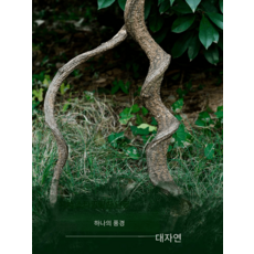 애완 동물 나무 덩굴 케이지 조경 장식 사육 상자, 얇은약130CM, 1개