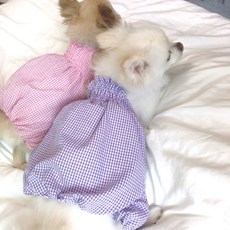 고양아쿠아플라넷