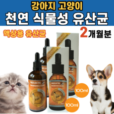 던킨먼치킨