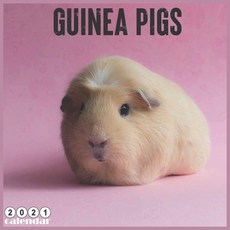 Guinea Pigs 2021 Calendar: Official Guinea Pig Wall Calendar 2021 18 Months Paperback, Independently Published