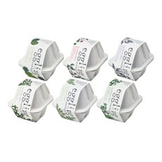 네잎클로버키우기