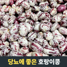 당뇨콩