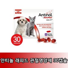 바이오라인 안티놀 래피드 천연 관절영양제 30캡슐/60캡슐/90캡슐, 30캡슐