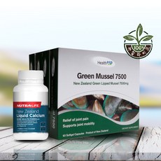 [헬스업] 푸른홍합 오일엑스트라 7500mg 60x4박스 240캡슐, 7500ml, 1box