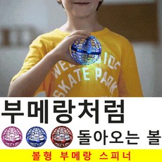 잘돌아오는부메랑