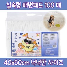 강남케이터링